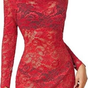 Floral Lace Sheer Mesh Bodycon Mini Dress with Long Sleeves